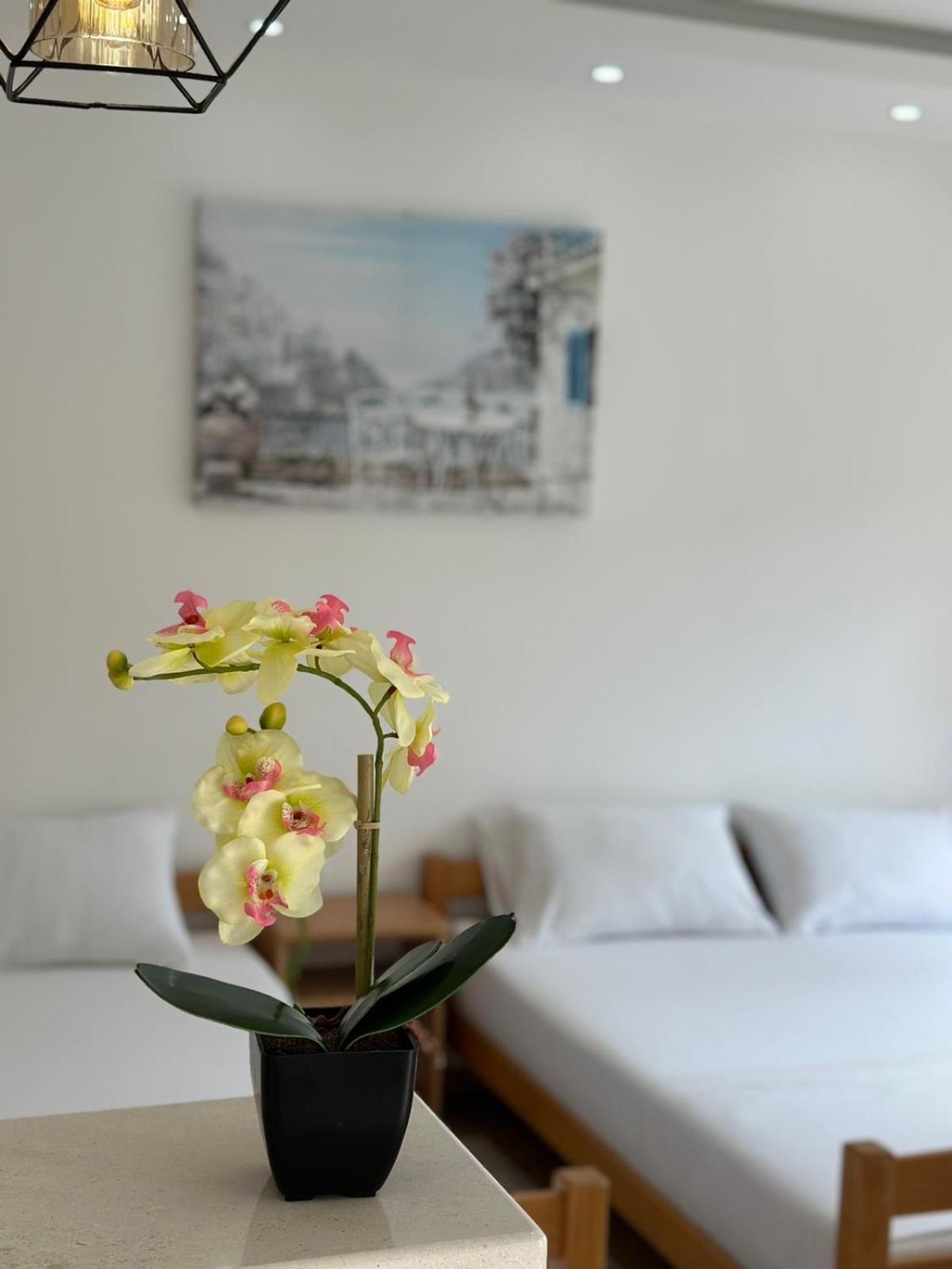Ceka Apartments Ülgün Dış mekan fotoğraf